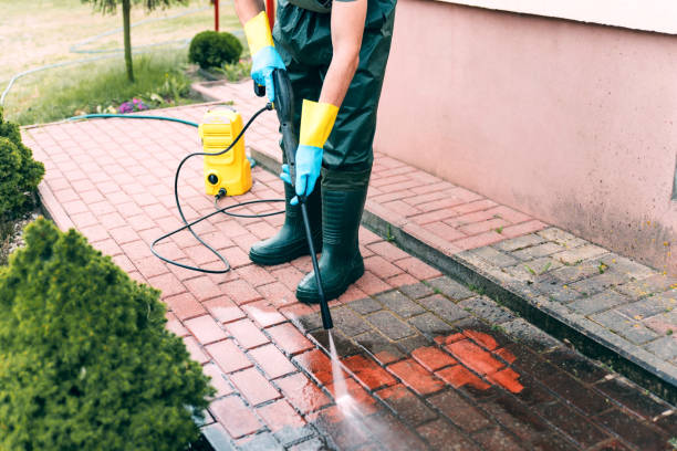 Best Roof Washing  in Findlay, OH